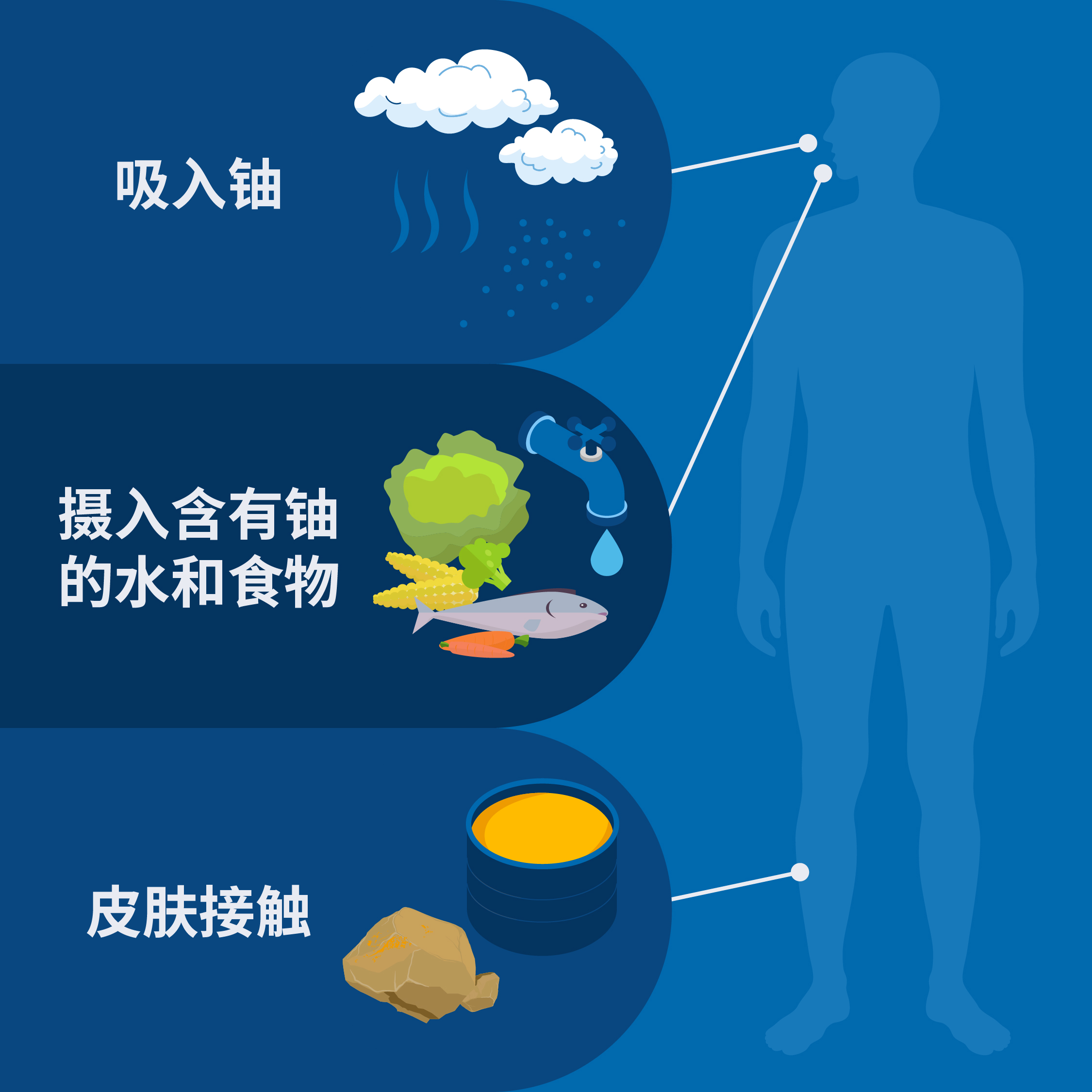 wo_men_zai_ri_chang_sheng_huo_zhong_shi_ru_he_jie_hong_you_de_.jpg