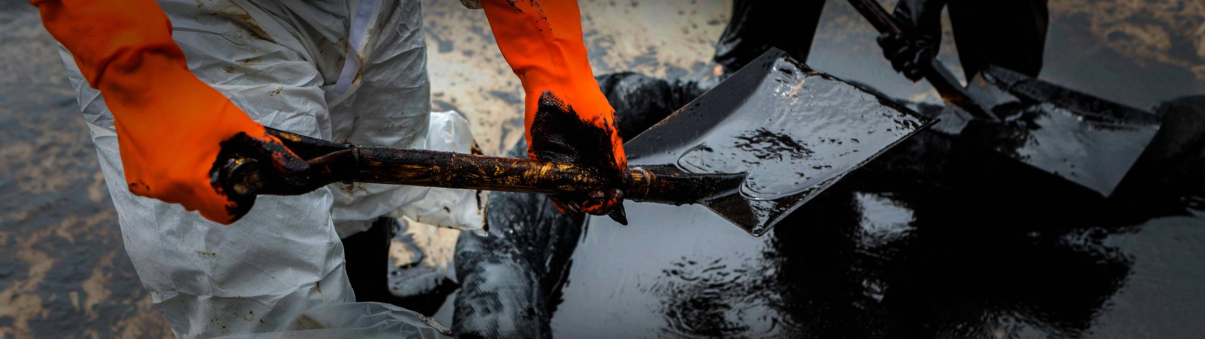 world_enivornment_day-webstory-images_monitoring_environmental_pollution_small.jpg